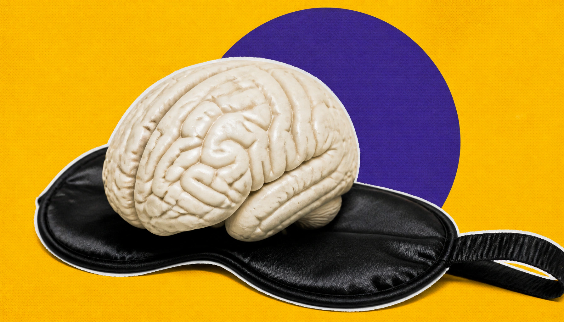Brain activity during sleep may predict stress resilience — even before stress hits
