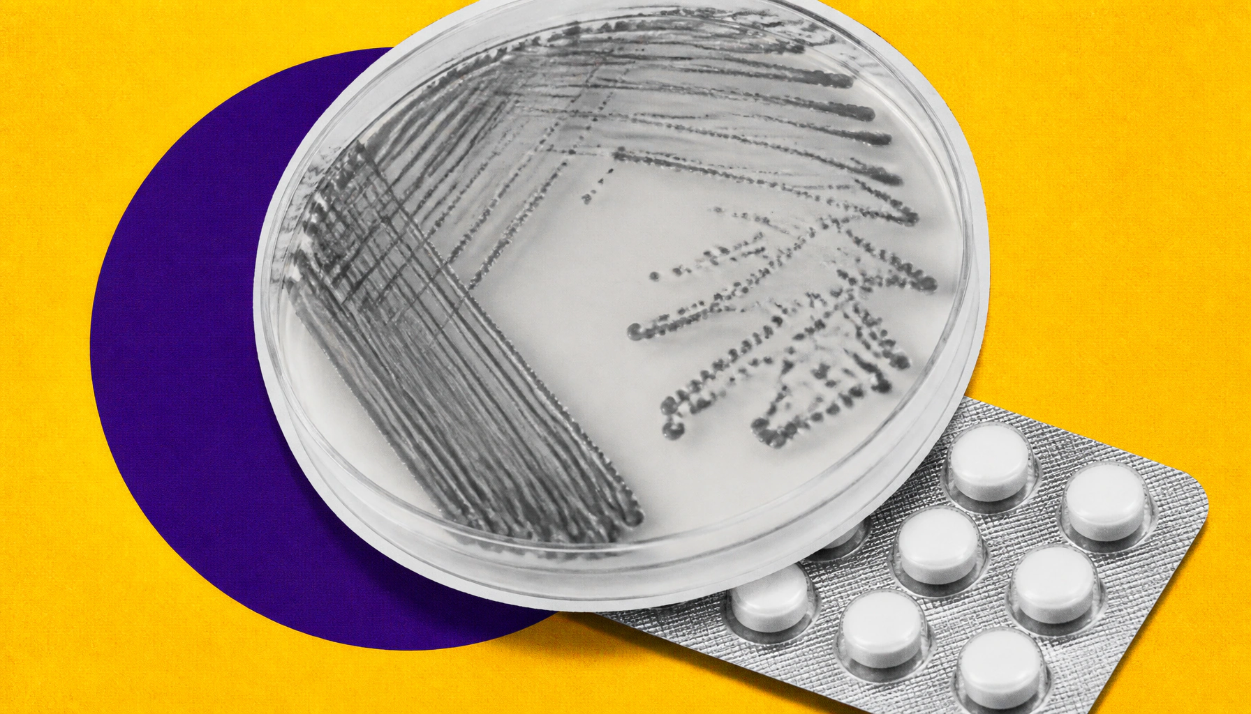 AI identifies promising drug candidates to combat antibiotic-resistant bacteria