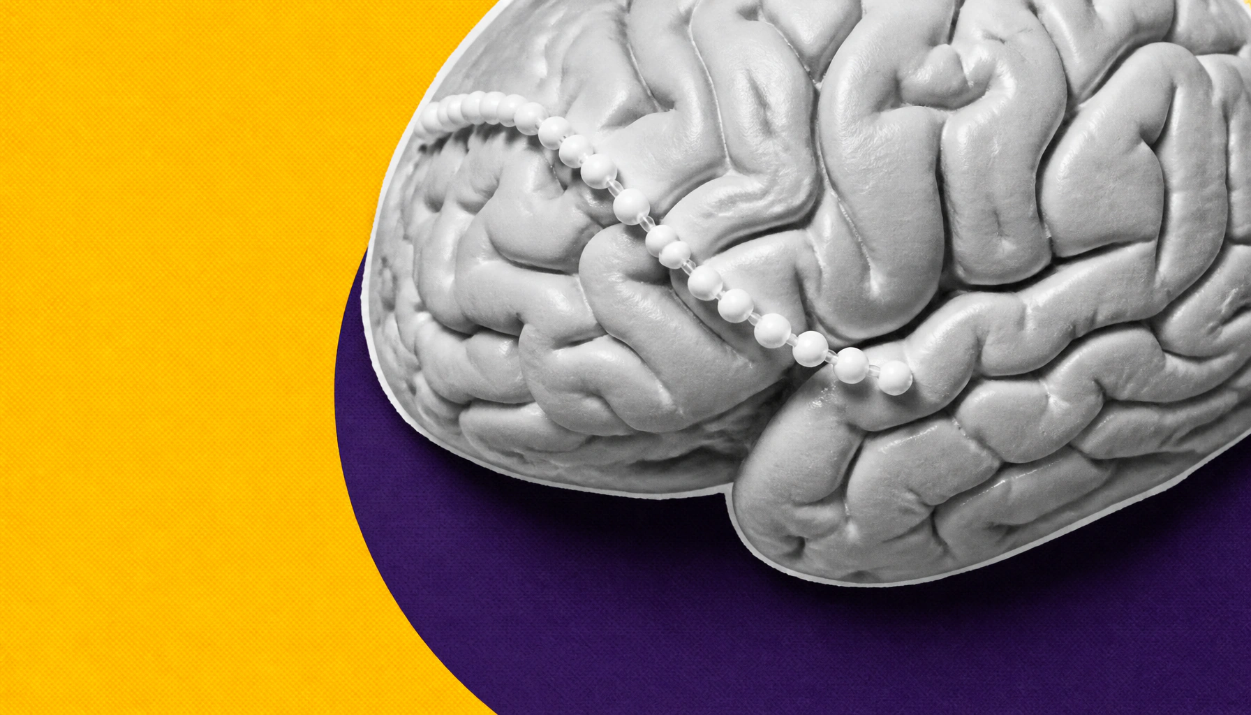Brain axons look like pearl strings, not smooth tubes — and it changes how signals travel