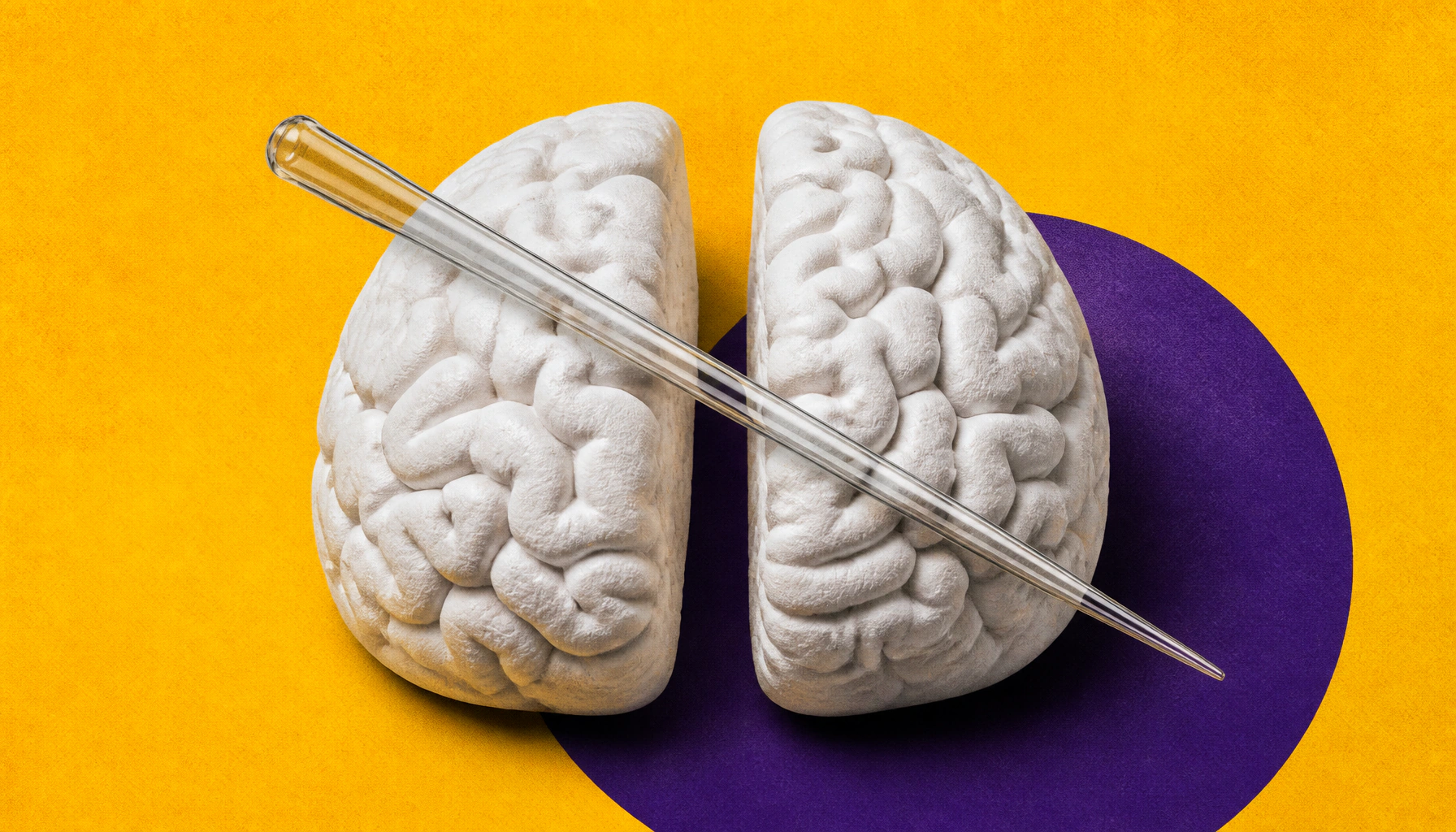 Autism's genetic chaos may follow just two molecular playbooks