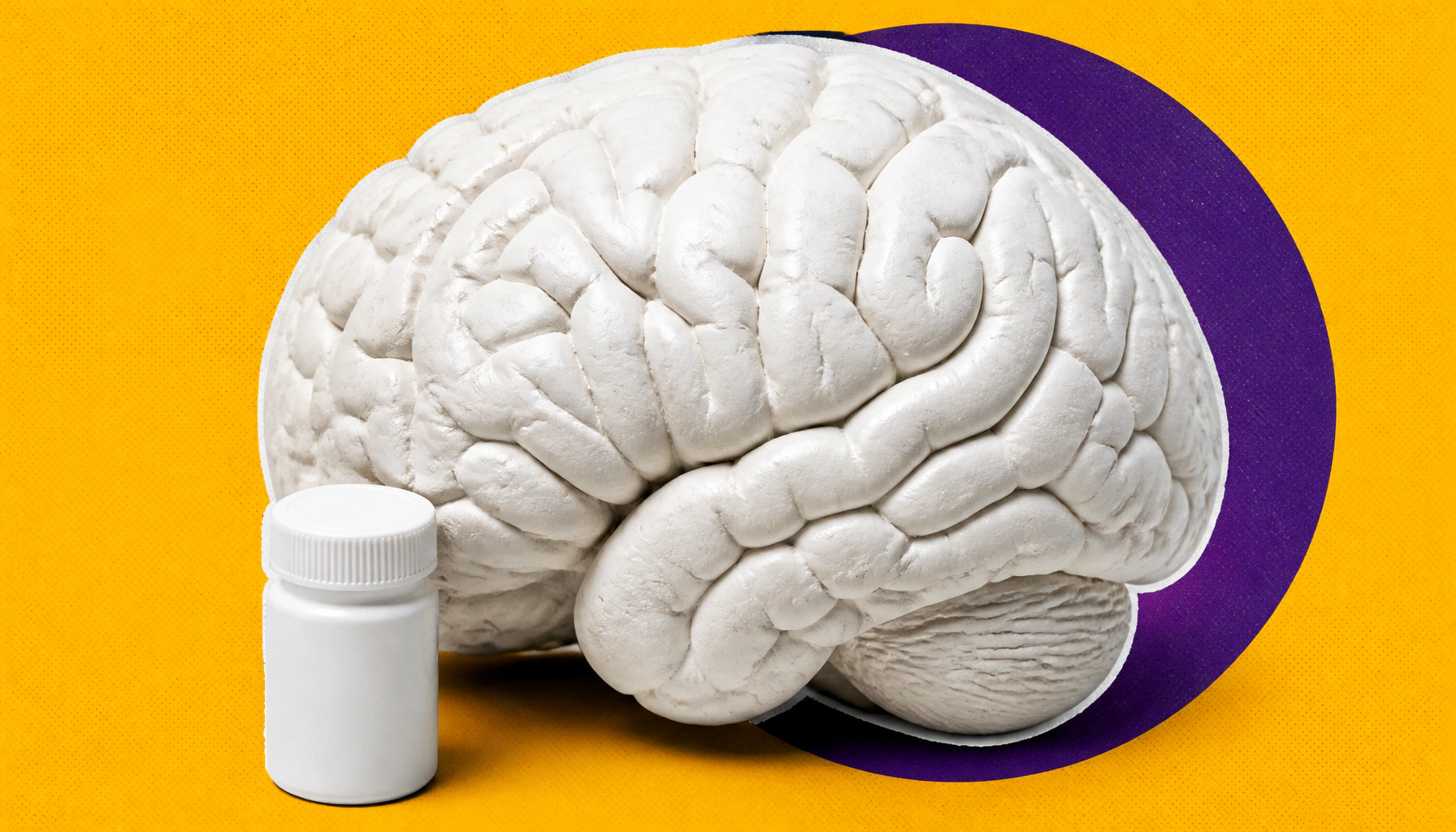Traumatic brain injury leaves lasting personality scars — and there's no targeted treatment yet