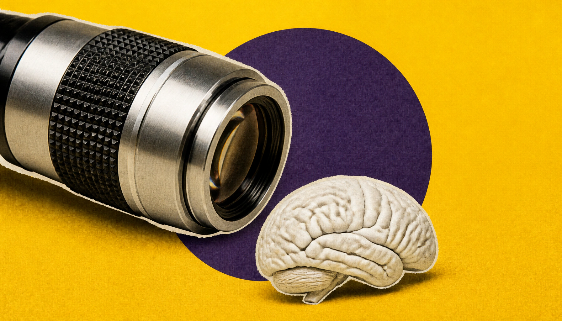 Brain memory protein's secret structure unlocked — and it may explain a rare disorder