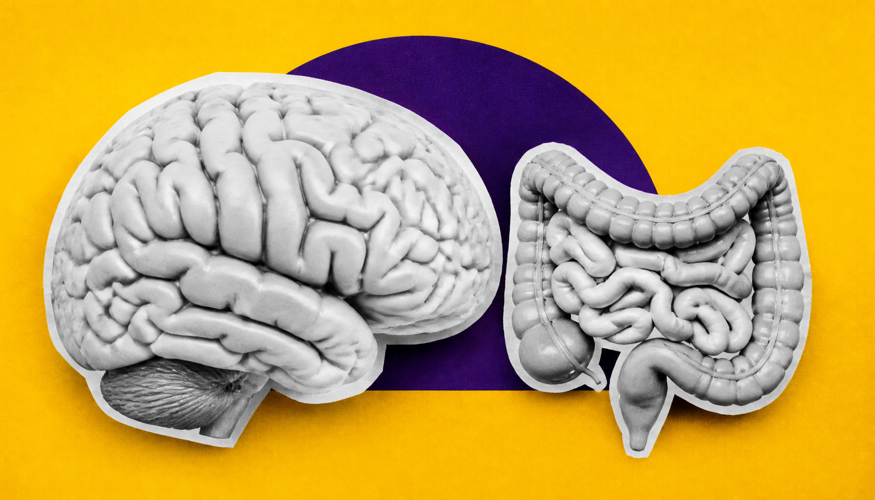 ADHD and gut health are more connected than we thought