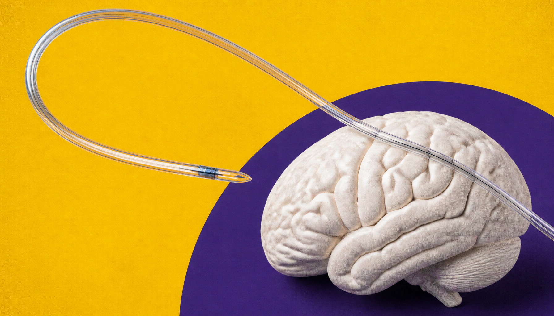 One tiny implant, three big jobs: the future of brain research just got a major upgrade