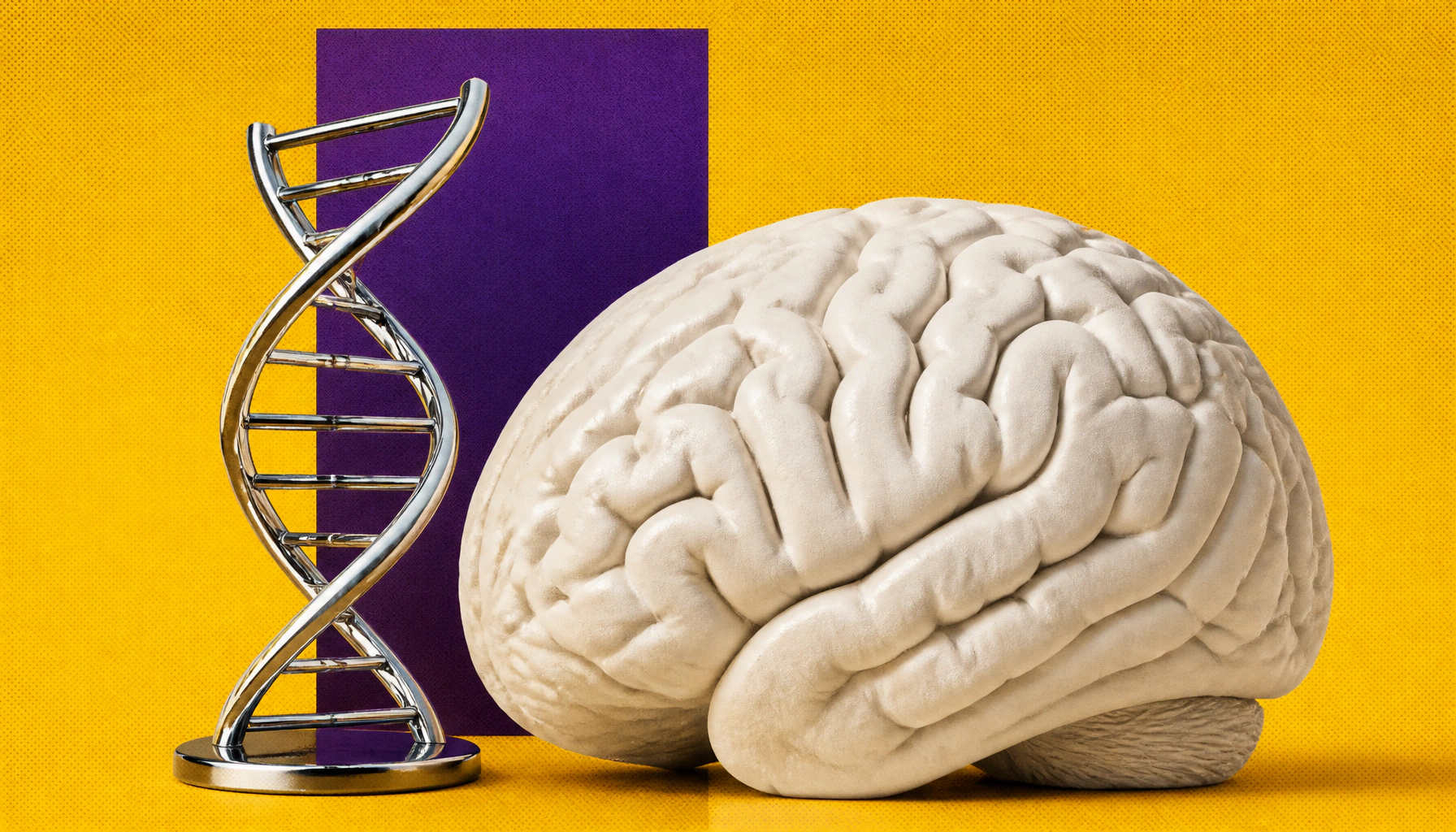 A rare gene mutation may be behind a newly identified neurodevelopmental disorder in children