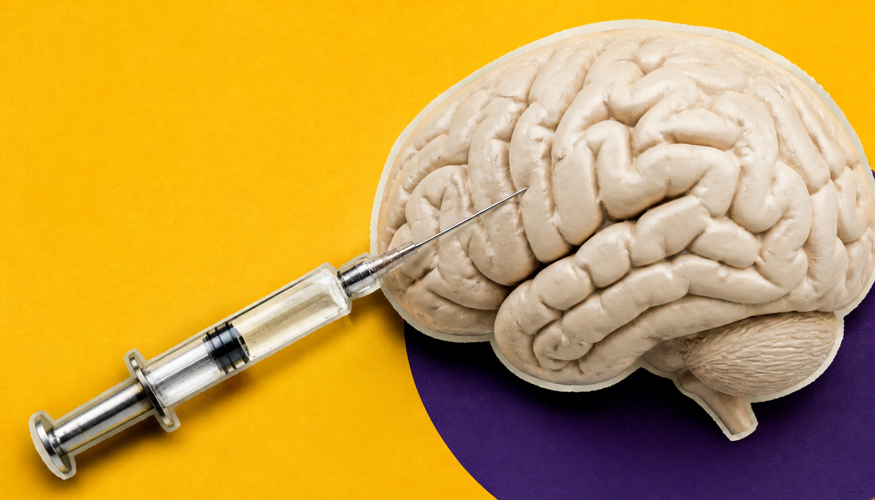 Could stem cells rebuild the brain after stroke? New research says maybe