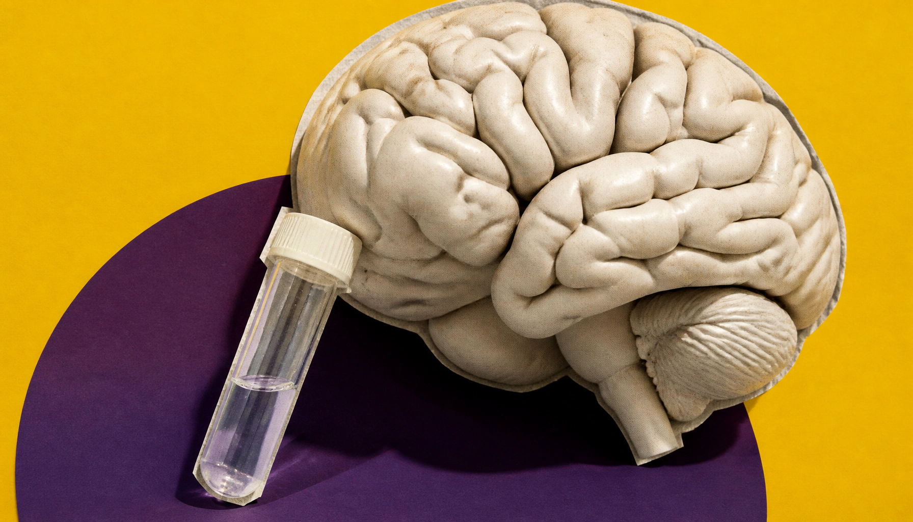 Smarter sequencing: new tool cuts through the noise to catch brain infections faster