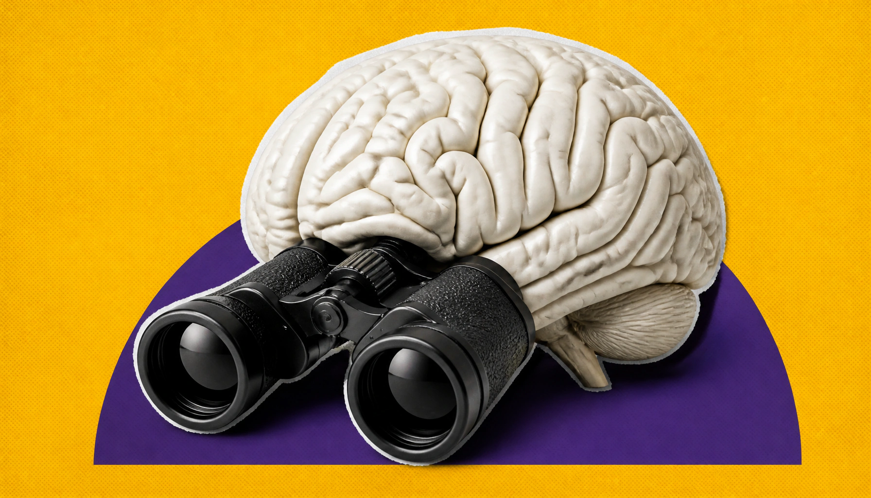 Your brain has a built-in "consensus" system for resolving visual conflicts