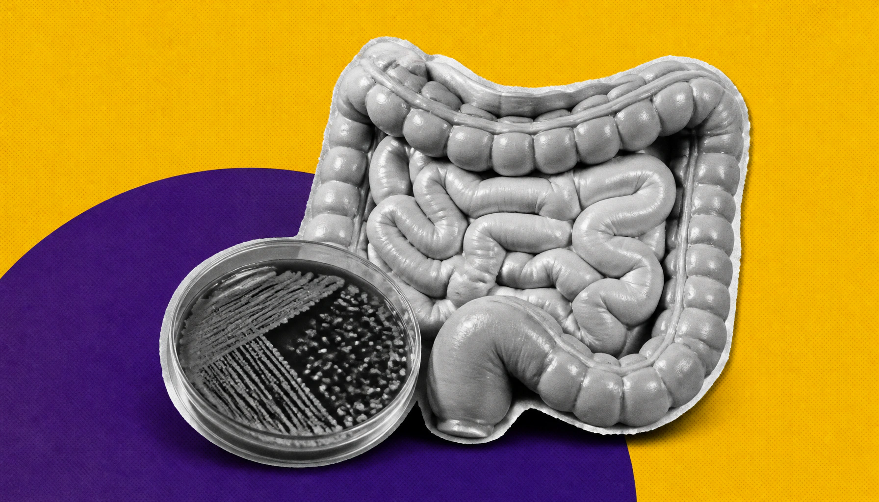 Your gut bacteria may hold the key to a longer life