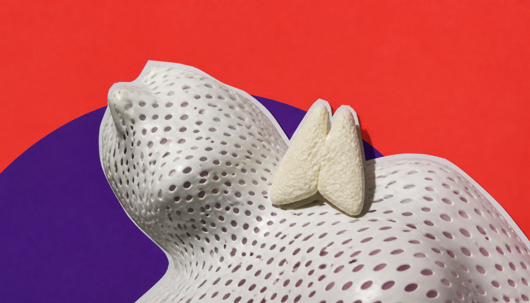 The thymus is back: why this "forgotten" organ could reshape cancer treatment