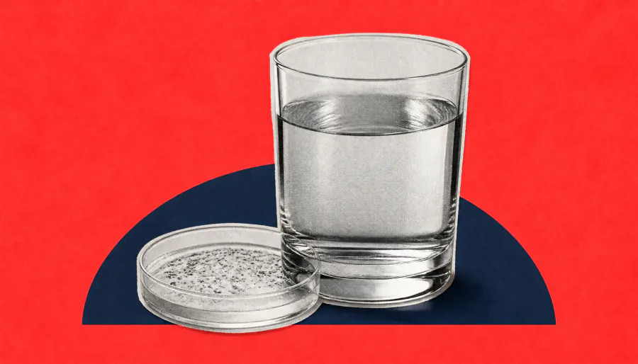 Untreated spring water turns wedding into a bacterial outbreak