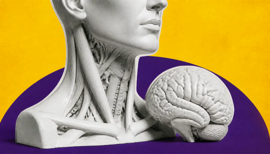 Alzheimer's damage may start in the lymph nodes — not the brain