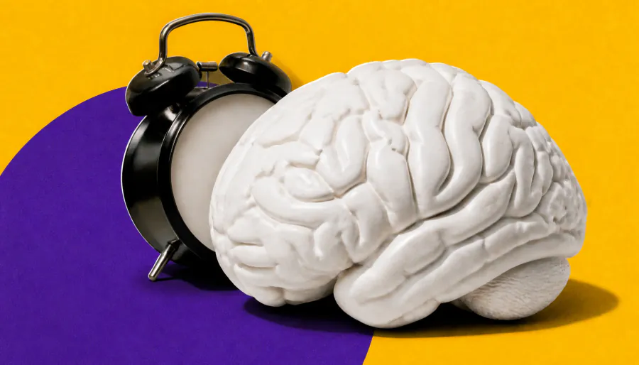 Resetting your body clock could supercharge stroke recovery