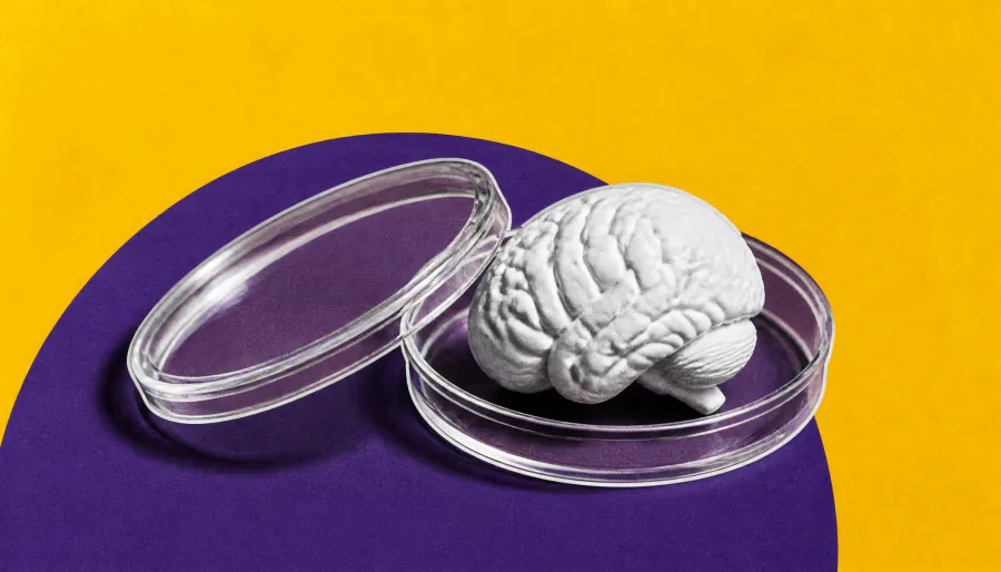 AI and genomics crack the code on a mysterious rare brain disorder