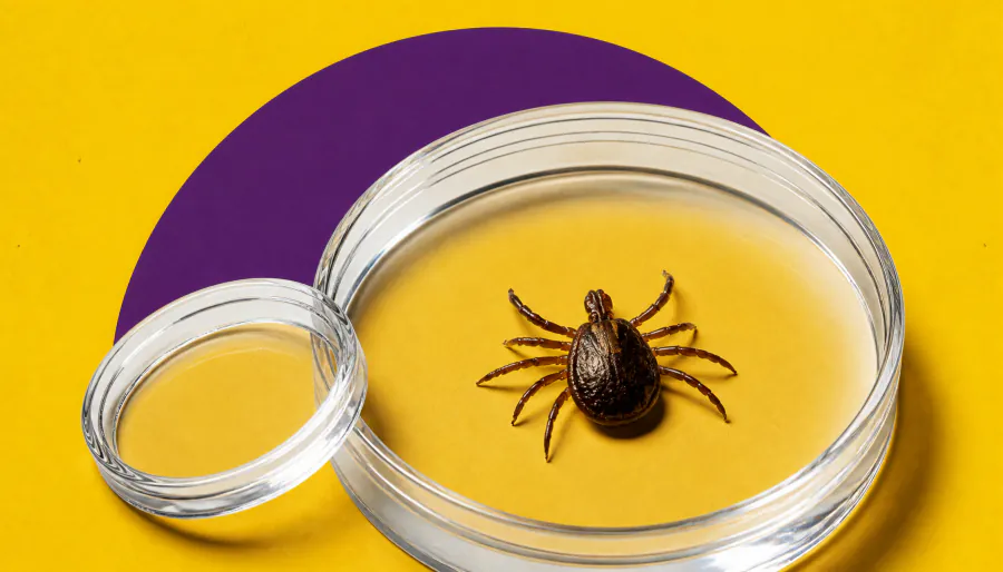 New tick-borne virus discovered in China may explain thousands of mysterious flu-like illnesses