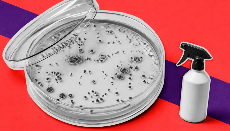 C. difficile's new superpower: Surviving hospital disinfectants