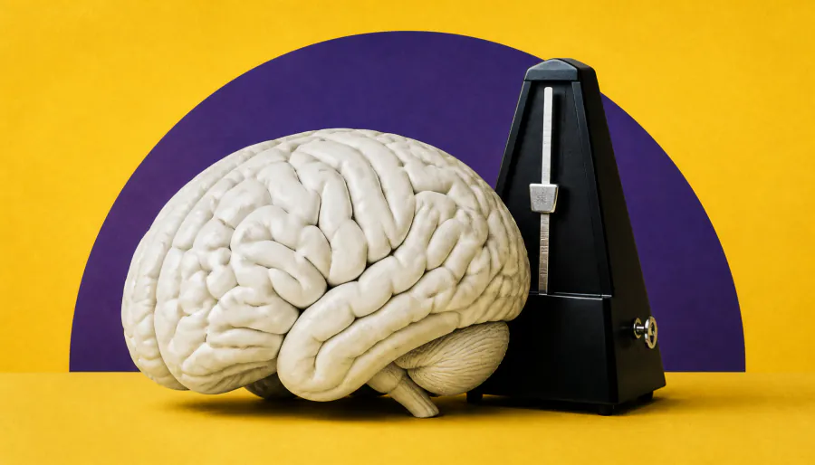 Not all brain rewiring is equal: Scientists pinpoint the cells that drive movement timing