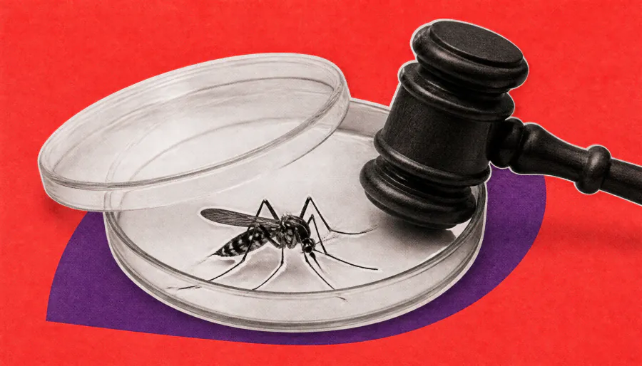 Dengue fever is spreading north in Florida — and experts are alarmed