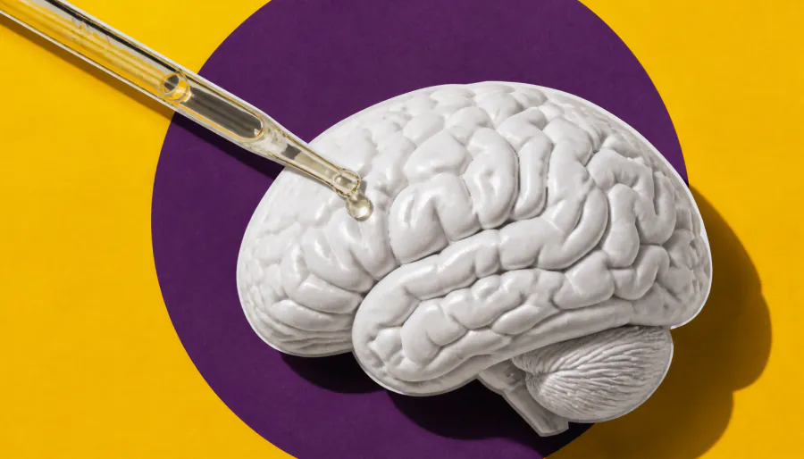 APOE4's damage to the brain may be reversible, Mount Sinai studies find