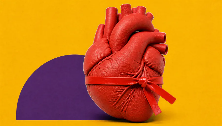 New cell type discovery could unlock heart regeneration after injury
