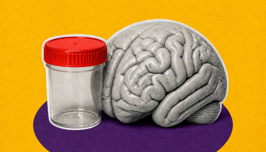 Your gut microbiome may hold clues to how fast your brain is aging