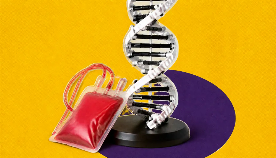 New genetic pathway could unlock better treatments for sickle cell disease and beta thalassemia