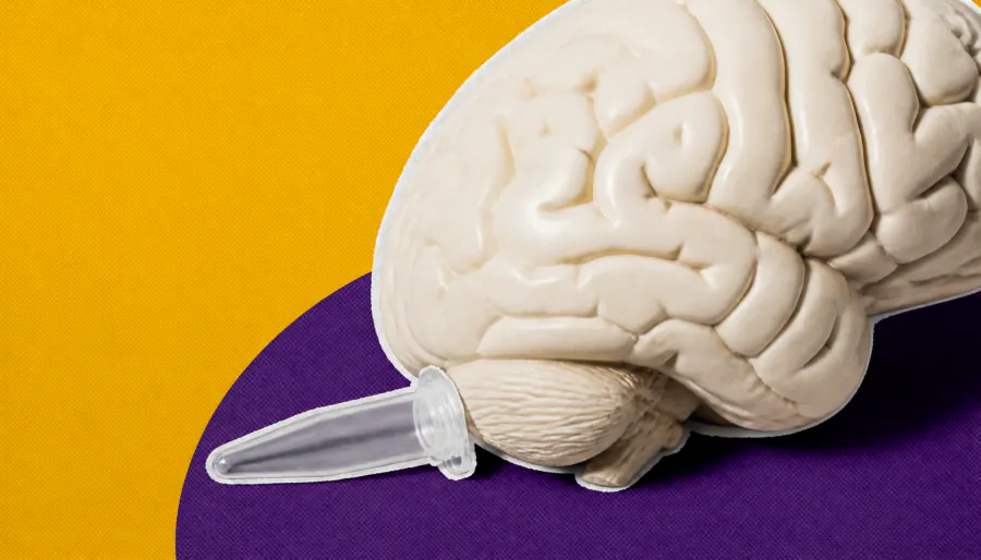 Meet BC200: the brain gene that never stopped jumping through DNA