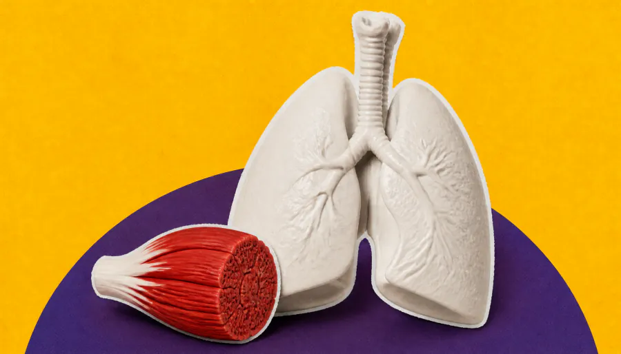One shot, two problems: New nanoparticle therapy targets lung cancer and muscle wasting simultaneously