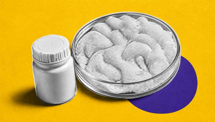 Rebooting the body's "recycling system" could clear out harmful zombie cells
