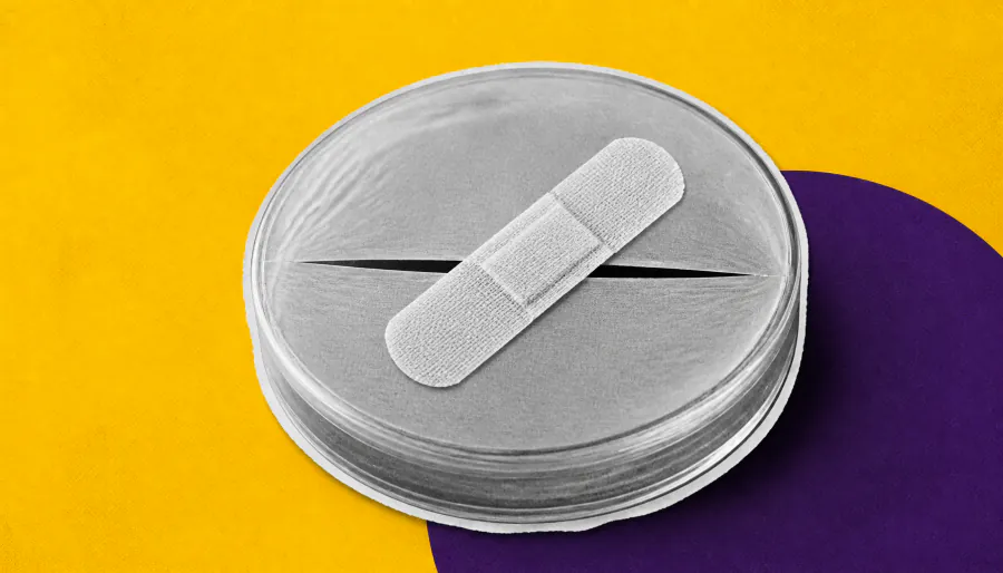Cells have a built-in repair kit for bacterial toxin attacks — and scientists just found the key