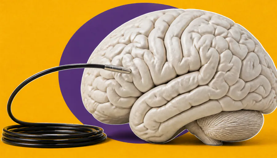 Nobel Prize in Medicine goes to the trio who gave neuroscience a light switch