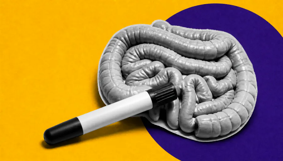 A missing gut protein may explain why some kids develop peanut allergies