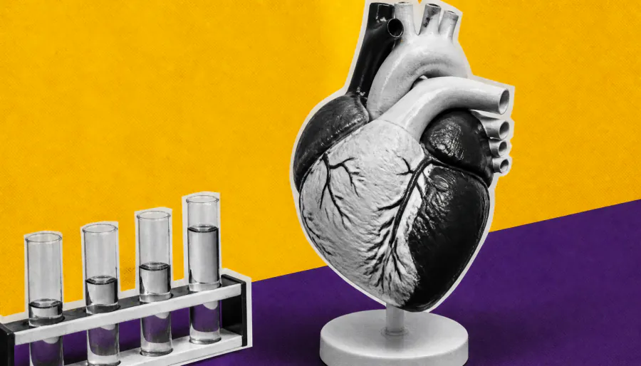 High Lp(a) keeps raising heart disease risk well into old age