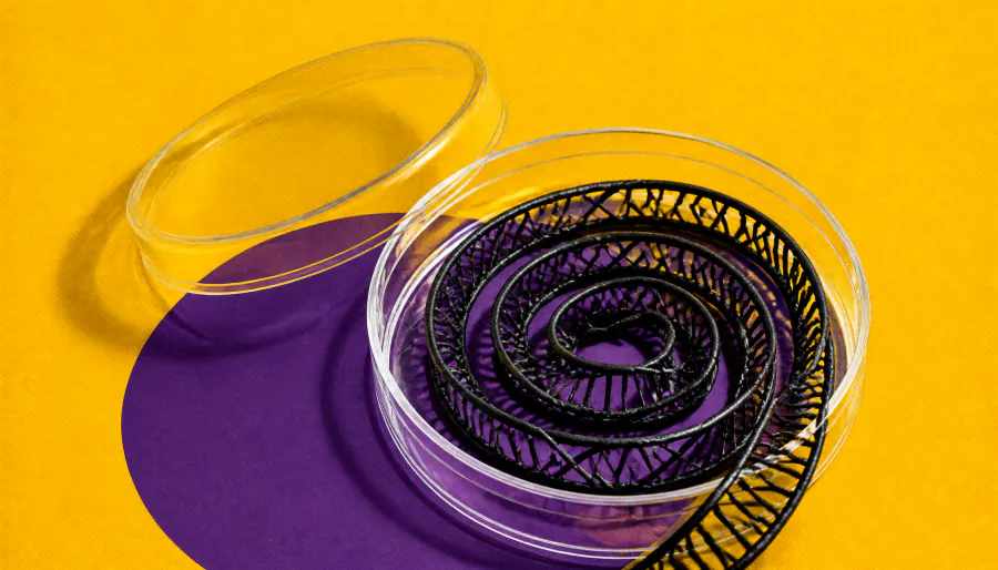 UCLA's new STOMP technique could finally reveal what nutrients do inside individual cells