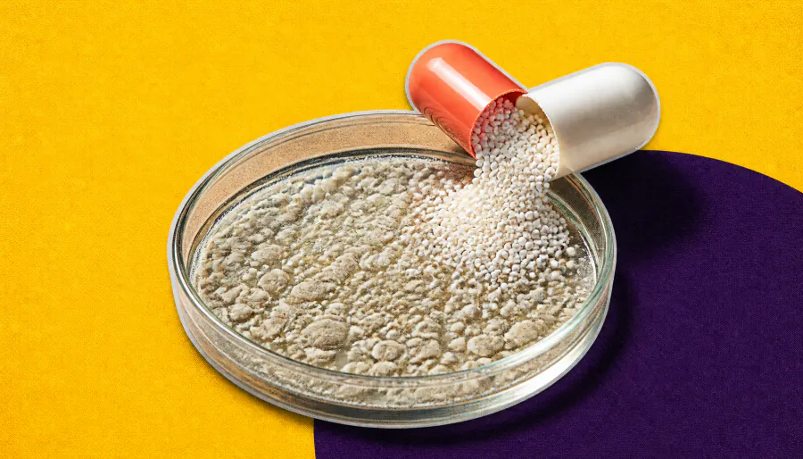 Sweet trouble: Sugar may amplify antibiotic damage to your gut