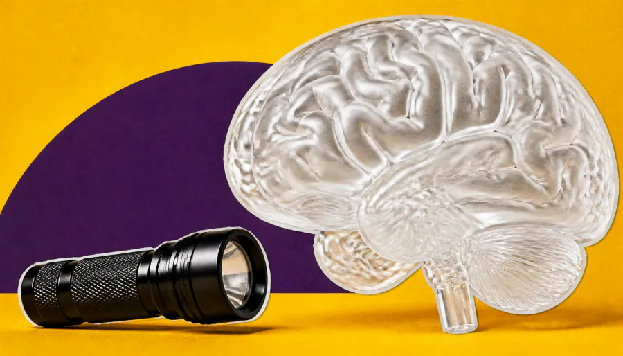Nobel Prize goes to the scientists who taught us to control the brain with light
