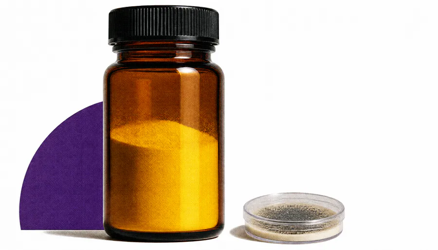 Curcumin leads the pack: natural compound shows strongest anticancer effect with favorable safety profile