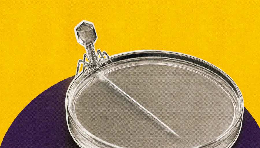 Bacteria's secret alarm system could unlock better phage therapies