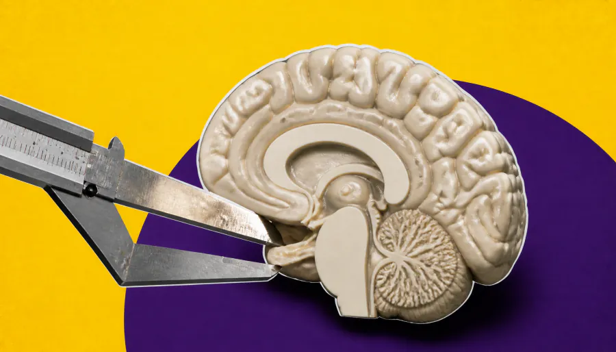 Bulimia nervosa leaves a structural mark on the brain, largest neuroimaging study finds