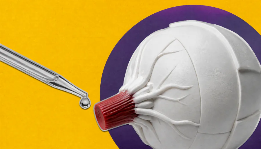 Scientists discover a secret drainage system at the back of the eye