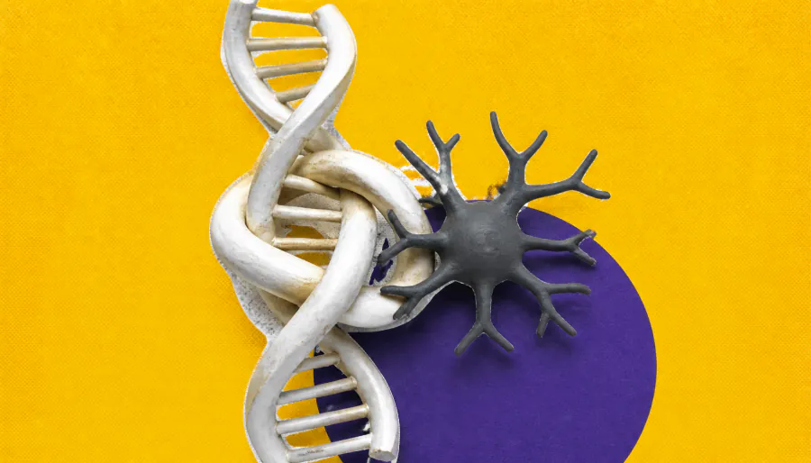 How the 3D shape of DNA may have given octopuses their big brains