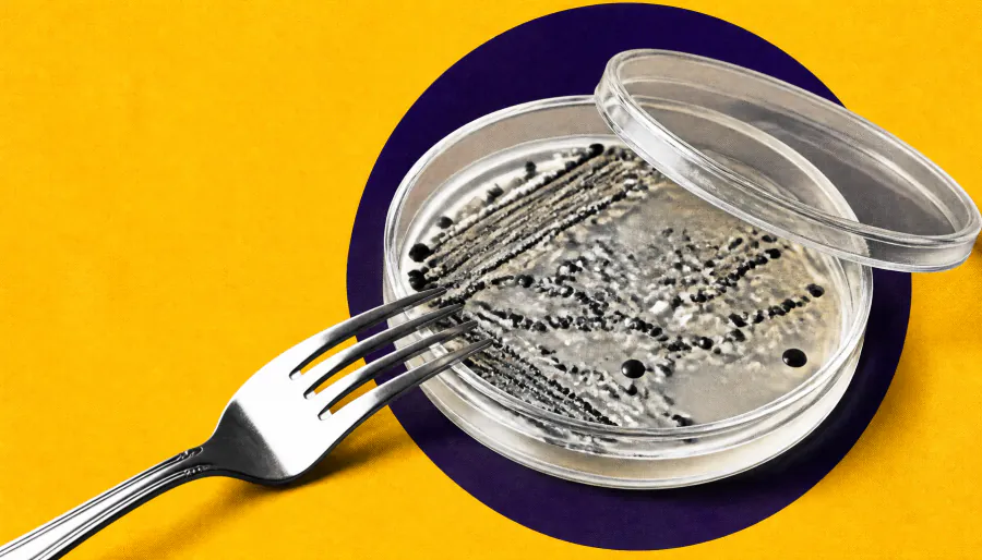 Your gut microbiome may be rewriting your calorie count