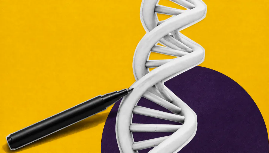 DNA "Typewriter" maps how a single cell builds an entire body