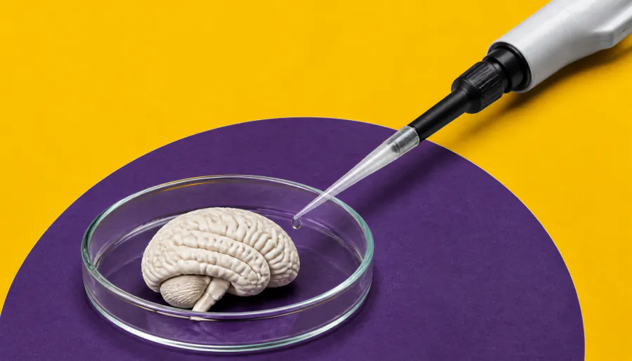 New gene variant linked to rare neurodevelopmental disorder in children
