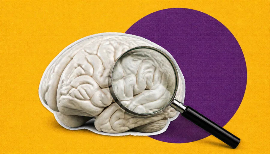 The Alzheimer's peptide hiding in plain sight for decades