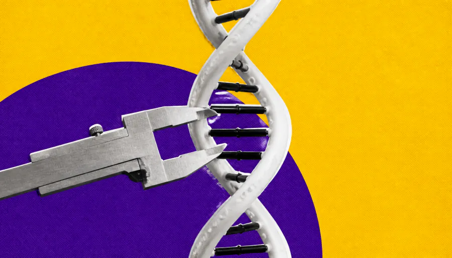 DNA keeps its cool: Local motion stays steady as cells divide and grow