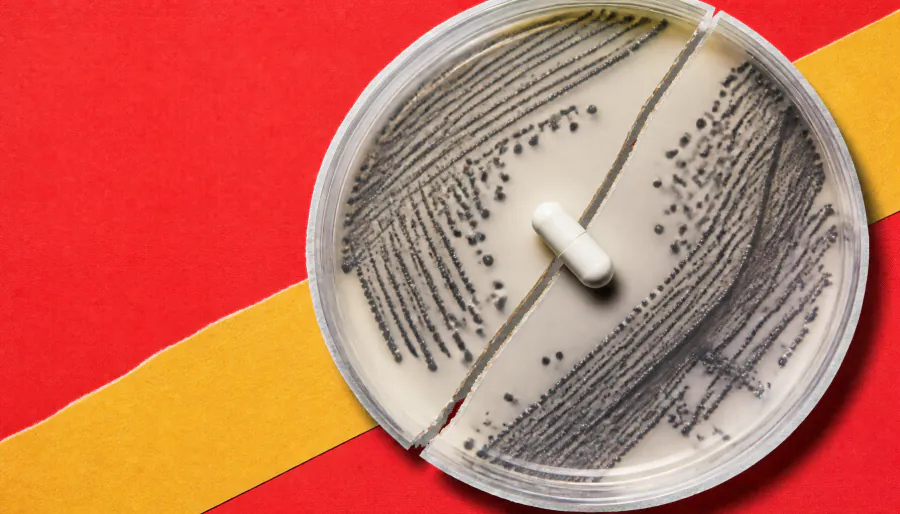 Your "sugar-free" swap might be messing with your gut bacteria