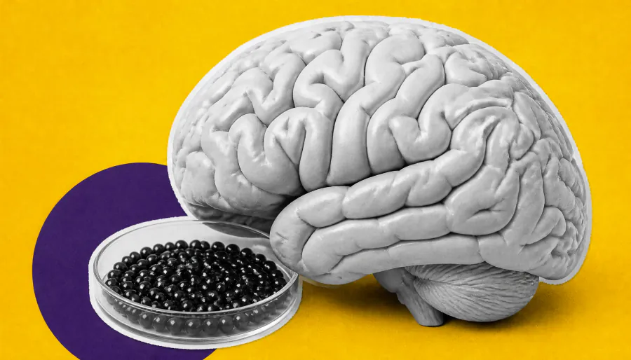 Daily blueberries may boost mood in older adults via the gut-brain connection