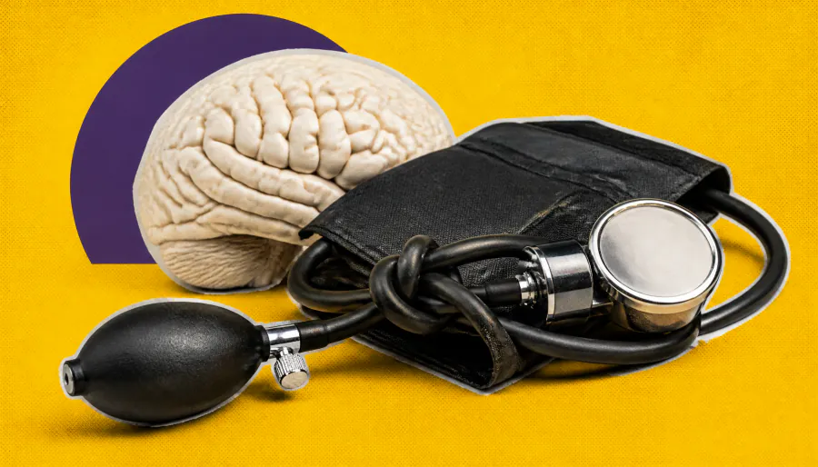 Soy compound LPC70 may shield the brain and heart from a high-salt diet