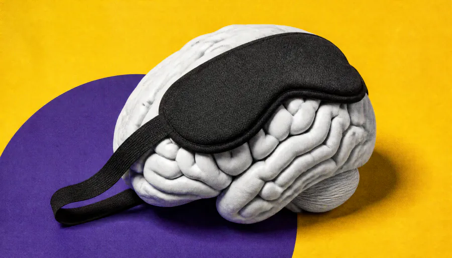 Brain's own immune cells — not plaques — may be stealing sleep from Alzheimer's patients